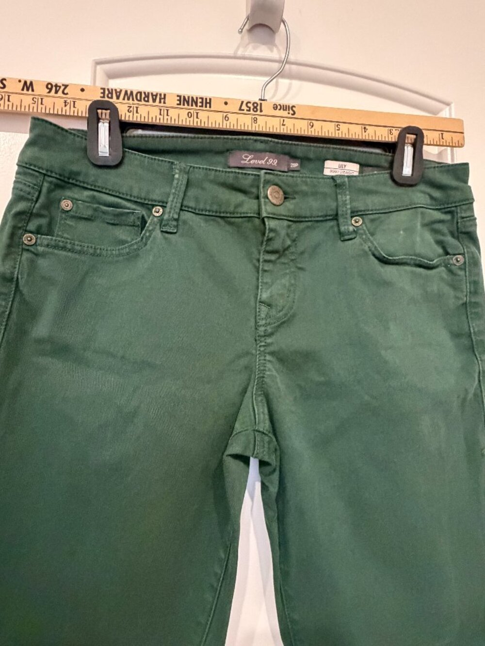 Lily Skinny Straight by Level 99, in a stretch beautiful green Petite pant